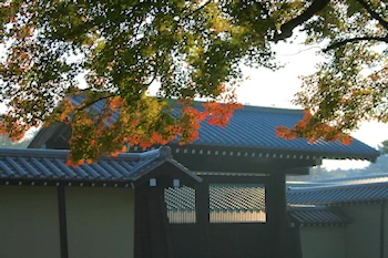 京都御苑の風景