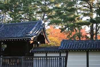 京都御苑の風景