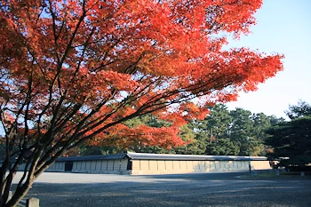 京都御苑の風景