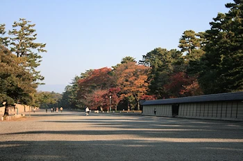 京都御苑の風景