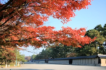 京都御苑の風景