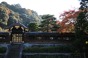 泉涌寺の風景