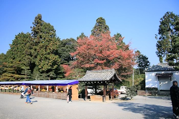 泉涌寺の風景