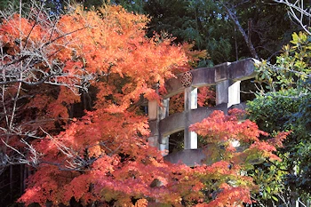 愛宕念仏寺の風景