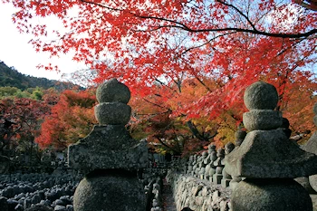 愛宕念仏寺の風景
