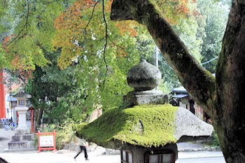 松尾神社の風景