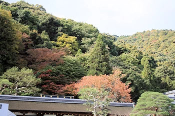 松尾神社の風景