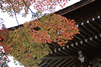 松尾神社の風景