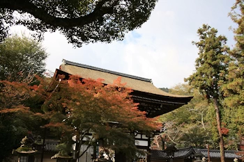 松尾神社の風景