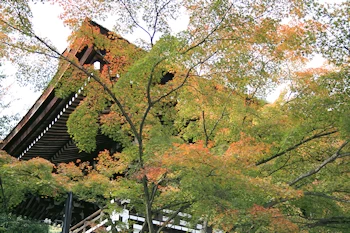 松尾神社の風景