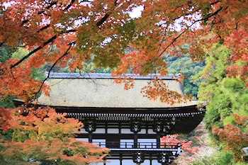 松尾神社の風景