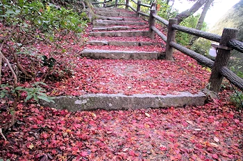 笠置山自然公園の風景