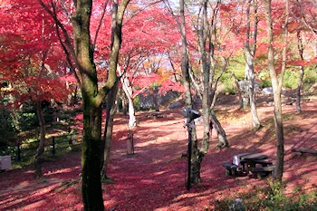 笠置山自然公園の風景
