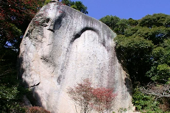 笠置山自然公園の風景