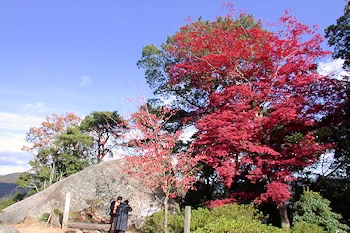 笠置山自然公園の風景