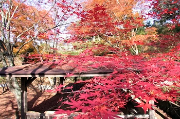 笠置山自然公園の風景