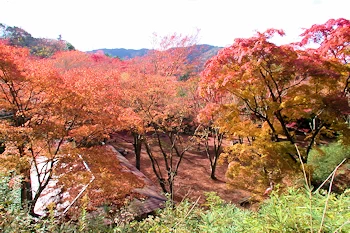 笠置山自然公園の風景