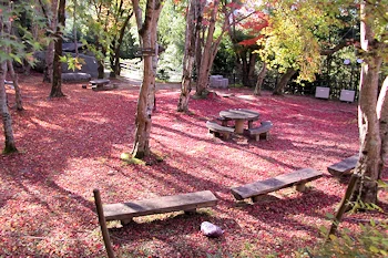 笠置山自然公園の風景