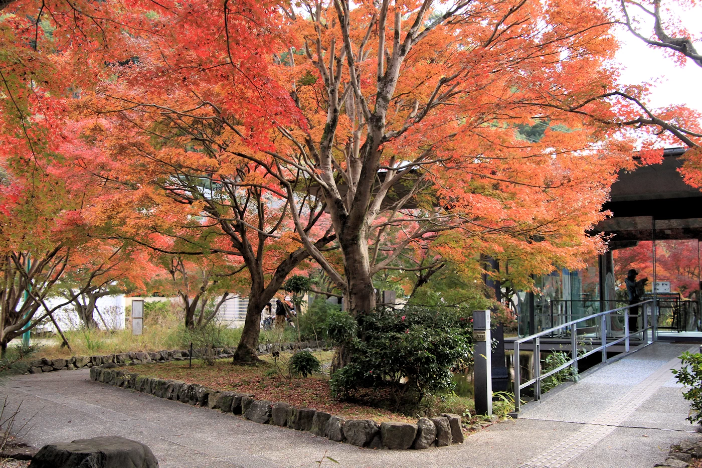宇治市源氏物語ミュージアムの画像