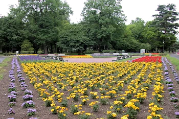 常盤公園の風景