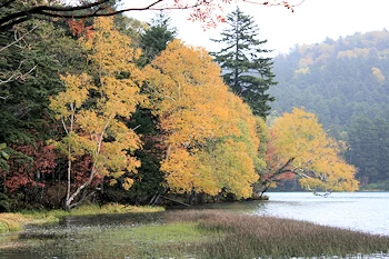 オンネトーの風景