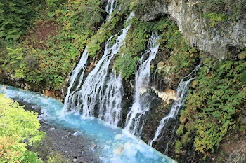 白ひげの滝の風景