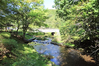 ナイベツ川湧水の風景