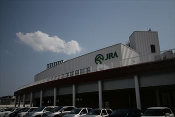 函館競馬場の風景