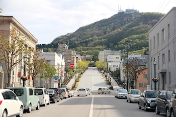 坂の上の函館山の風景