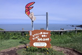 霧多布岬の風景