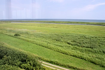 ベニヤ原生花園展の風景