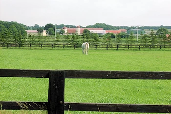 日西牧場スタリオンステーションの風景