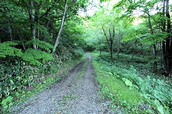二股口古戦場跡の風景
