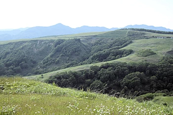 きじひき高原噴火湾展望台の風景