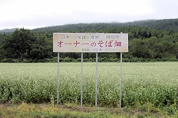 オーナーのそば畑の風景