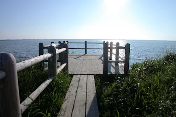 パンケ沼の風景