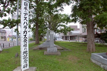 日本のアスパラガス発祥の地の風景