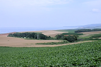 風の丘広場の風景