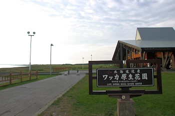 ワッカ原生花園の風景