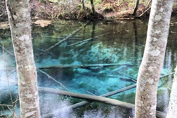 神の子池の風景