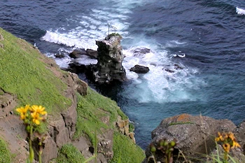 帆かけ岩の風景