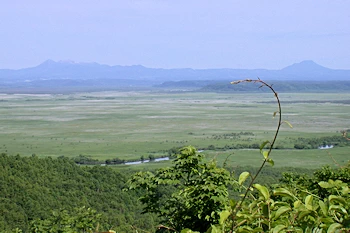 岩保木山展望台の風景