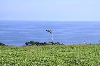 尻羽岬の風景