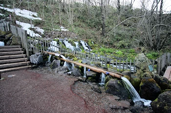 羊蹄ふきだしの湧水の風景
