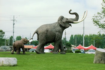 ナウマン公園の風景