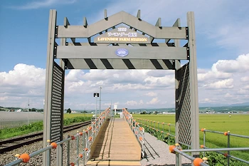 ラベンダー畑駅の風景