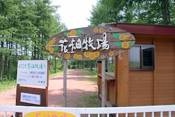 花畑牧場の風景