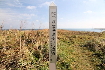 根室半島チャシ跡群の風景
