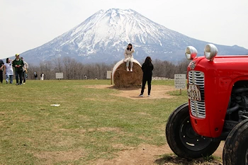 ニセコ高橋牧場の風景