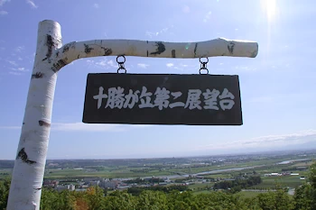 十勝が丘第二展望台の風景